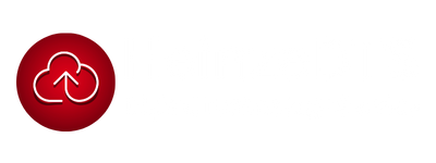 HeinzeDTS_Logo